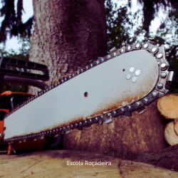 Sabre ou espada Foto de um sabre ou espada de uma motosserra