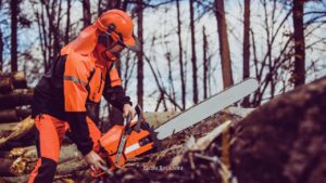 Por que o lado do escapamento da motosserra costuma ser o mais danificado?