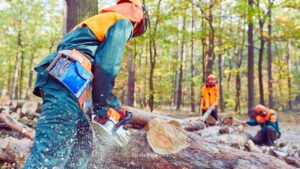 Como diferenciar vazamento nos retentores de vazamento na junta do bloco da motosserra?