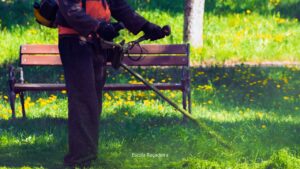 Qual o impacto do filtro de combustível de má qualidade na roçadeira?