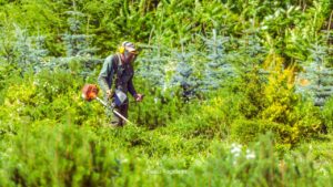 Como reaproveitar o carburador da roçadeira com novo kit de reparo?