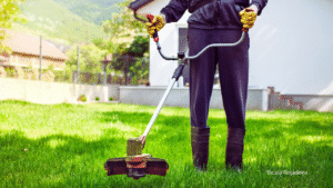 Roçadeiras para Uso Profissional: O que Avaliar Antes da Compra?